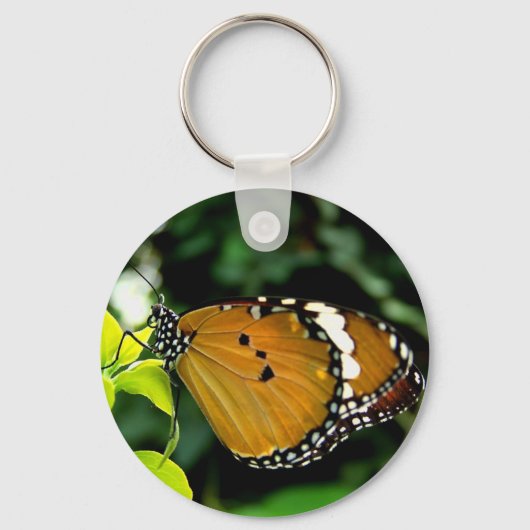 葉にオレンジ、黒と白の蝶 キーホルダー (正面)