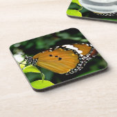 葉にオレンジ、黒と白の蝶 コースター (左側)