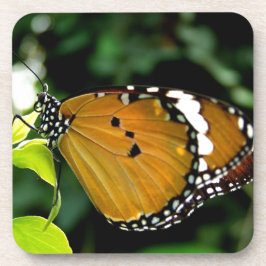 葉にオレンジ、黒と白の蝶 コースター