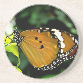 葉にオレンジ、黒と白の蝶 コースター