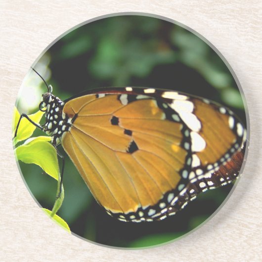 葉にオレンジ、黒と白の蝶 コースター (正面)