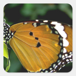 葉にオレンジ、黒と白の蝶 スクエアシール