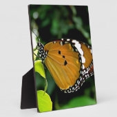 葉にオレンジ、黒と白の蝶 フォトプラーク (側面)