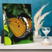 葉にオレンジ、黒と白の蝶 フォトプラーク (側面)