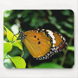 葉にオレンジ、黒と白の蝶 マウスパッド