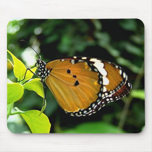 葉にオレンジ、黒と白の蝶 マウスパッド (正面)