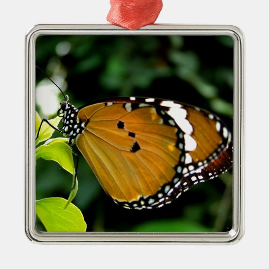 葉にオレンジ、黒と白の蝶 メタルオーナメント (正面)