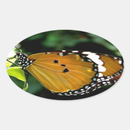 葉にオレンジ、黒と白の蝶 楕円形シール