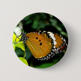 葉にオレンジ、黒と白の蝶 缶バッジ