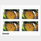 葉にオレンジ、黒と白の蝶 長方形シール (シート)