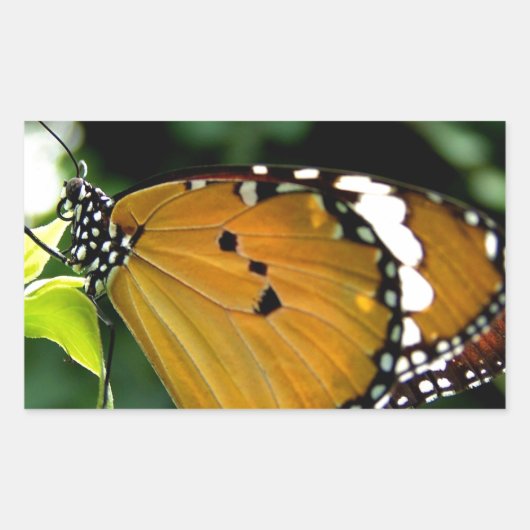 葉にオレンジ、黒と白の蝶 長方形シール (正面)