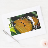葉にオレンジ、黒と白の蝶 長方形シール (封筒)