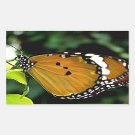 葉にオレンジ、黒と白の蝶 長方形シール