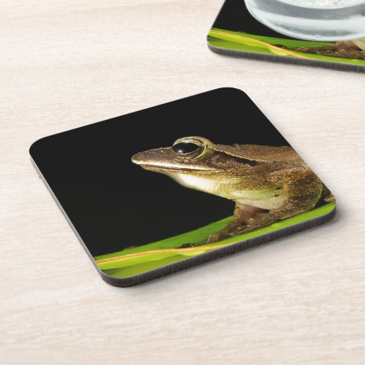 葉に乗ったカエル コースター (左側)