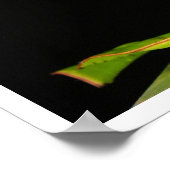 葉に乗ったカエル ポスター (角)