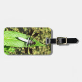 葉に乗ったトンボ ラゲッジタグ (正面横)