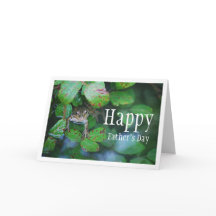 葉に囲まれた池のカエルの肖像画