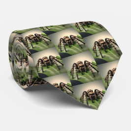 葉に毛むくじゃらのオーストラリア産タランチュラのクモ。 ネクタイ