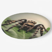 葉に毛むくじゃらのオーストラリア産タランチュラのクモ。 ペーパープレート (アングル)