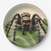 葉に毛むくじゃらのオーストラリア産タランチュラのクモ。 ペーパープレート (正面)