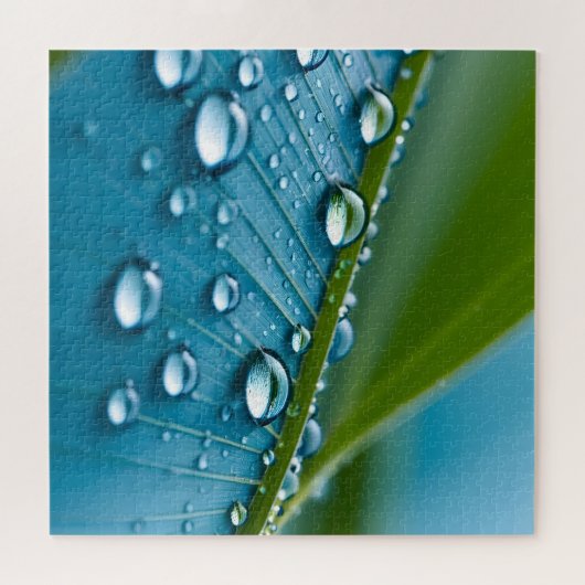 葉に水滴 ジグソーパズル (横)