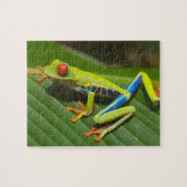 葉に浮かぶアカガエルのクローズアップ ジグソーパズル