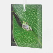 葉に浮かぶカエル ガラスオーナメント (正面左)