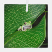 葉に浮かぶカエル ガラスオーナメント (裏面)