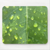 葉に滴る雨 マウスパッド (正面)