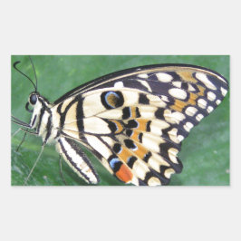 葉に白と黒の黄色の蝶 長方形シール