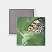 葉に蝶 マグネット (正面/裏面)