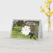 葉に輝く白い星のマグノリア カード (黄色い花)