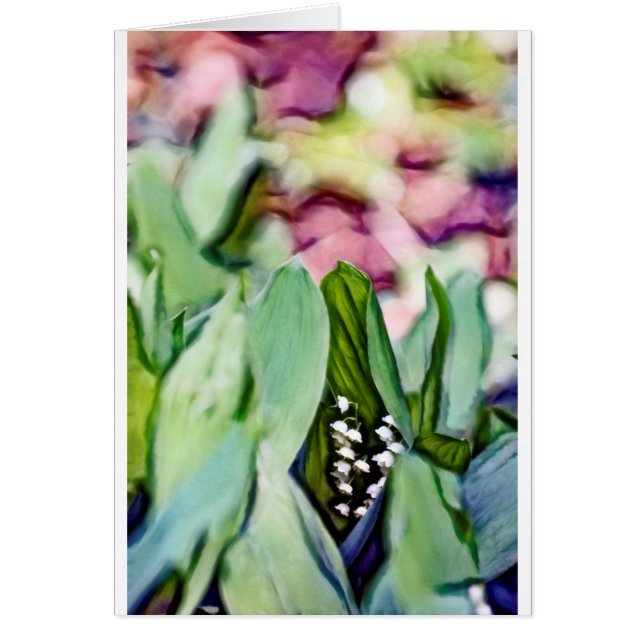 葉に隠れる谷の花のユリ (正面)