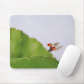 葉に飛んでいるてんとう虫のクローズアップ マウスパッド (マウス)
