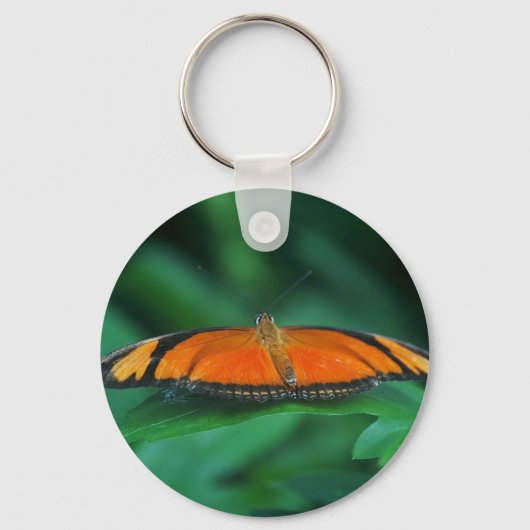 葉に鮮やかなオレンジと黒い蝶 キーホルダー (正面)
