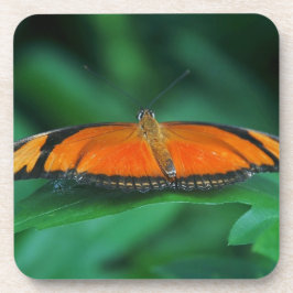 葉に鮮やかなオレンジと黒い蝶 コースター
