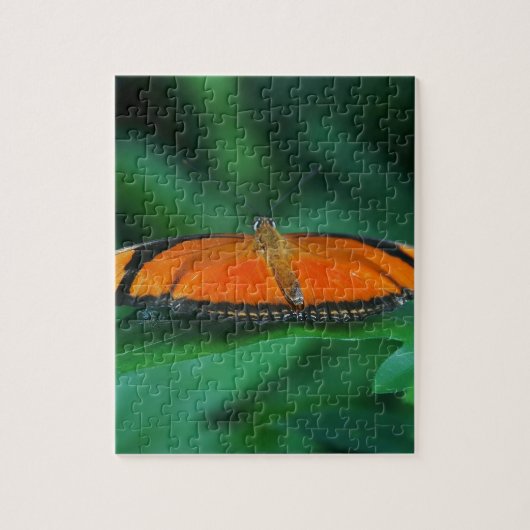 葉に鮮やかなオレンジと黒い蝶 ジグソーパズル (縦)