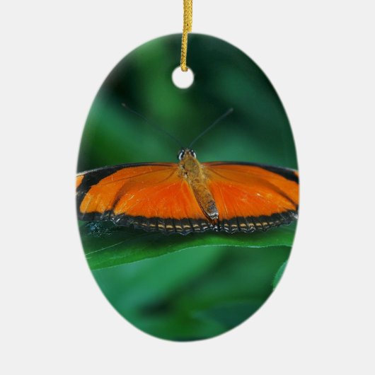 葉に鮮やかなオレンジと黒い蝶 セラミックオーナメント (正面)