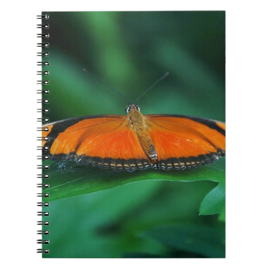 葉に鮮やかなオレンジと黒い蝶 ノートブック (正面)