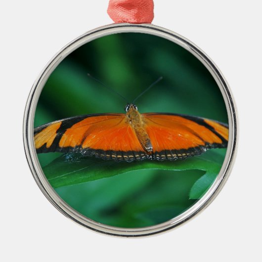 葉に鮮やかなオレンジと黒い蝶 メタルオーナメント (正面)