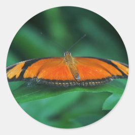 葉に鮮やかなオレンジと黒い蝶 ラウンドシール