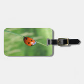 葉のてんとう虫 ラゲッジタグ (正面横)