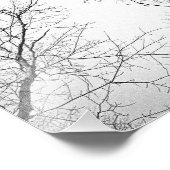 葉のない木 フォトプリント            (角)