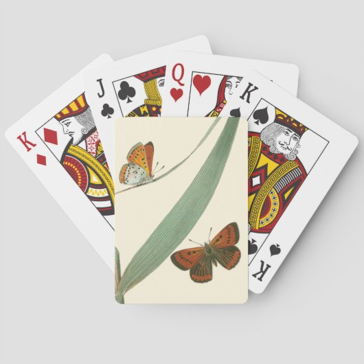 葉のまわりでなびいているカラフルな蝶 トランプ (裏面)
