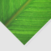 葉のティッシュ 薄葉紙 (詳細)