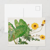 葉のファンシー多いカラディウムシ ポストカード (正面/裏面)