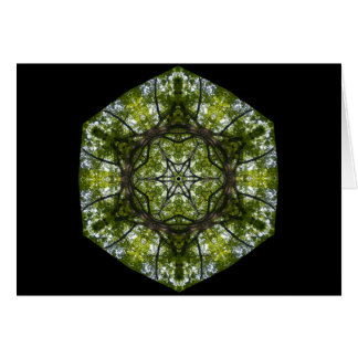 葉のライトそしてパターン