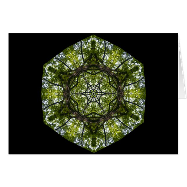 葉のライトそしてパターン (正面横)