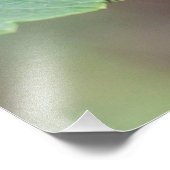 葉の上で休んでいる（昆虫）オオカバマダラ、モナーク フォトプリント            (角)