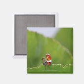 葉の上にテントウムシのクローズアップ マグネット (正面/裏面)